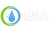 Blue and Green Simple Cleaning Services Logo (200 x 100 px) (4)